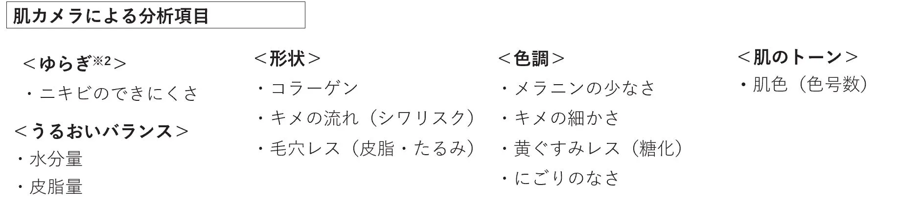 肌カメラによる分析項目