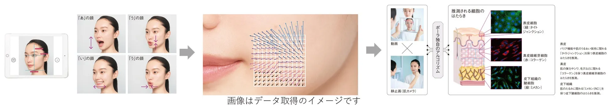 顔の表情と肌分析のイメージ